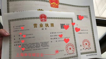 外資企業(yè)辦理流程,外商投資者注冊公司